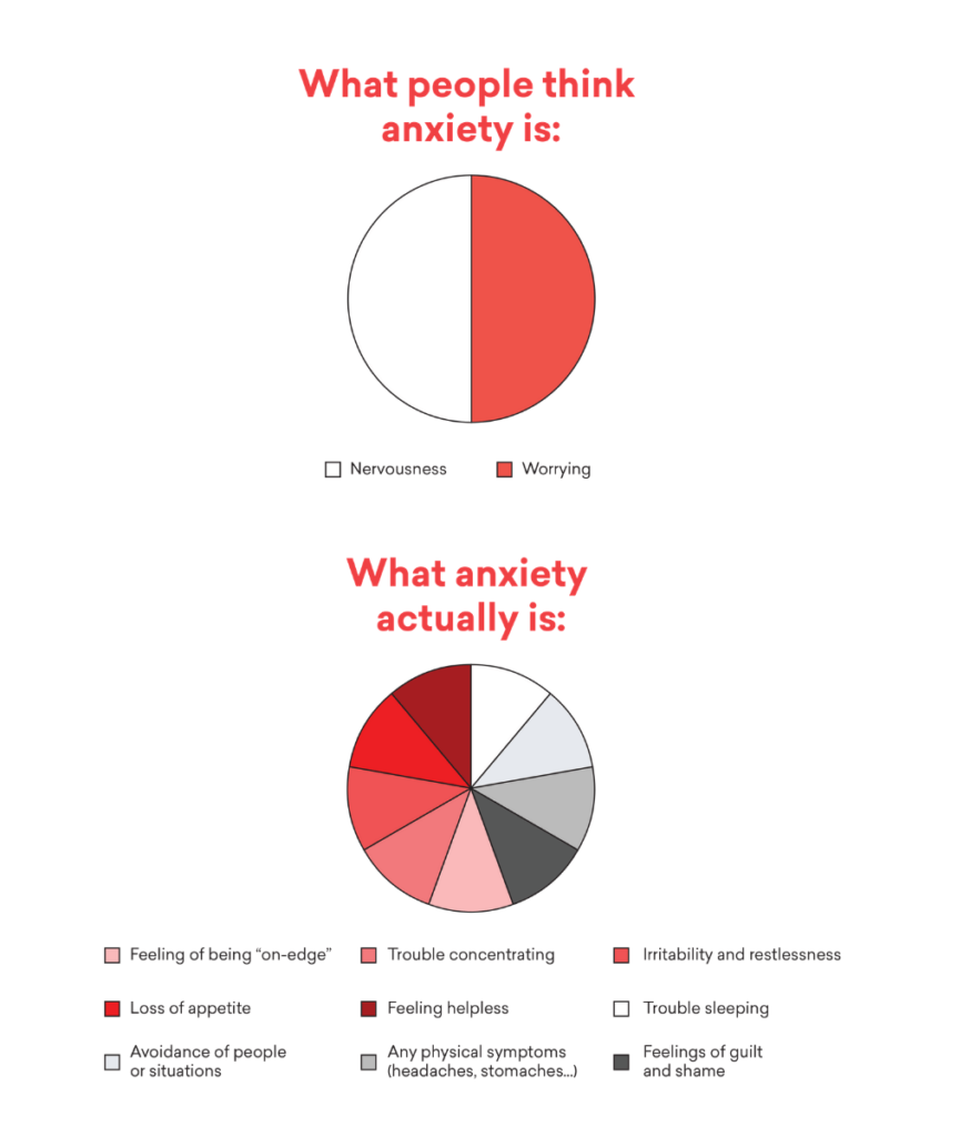 Pie chart showing what anxiety consists of 